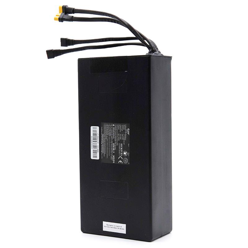Batterie 48V 19.2 A/h pour Smartgyro Speedway [Ewheel]