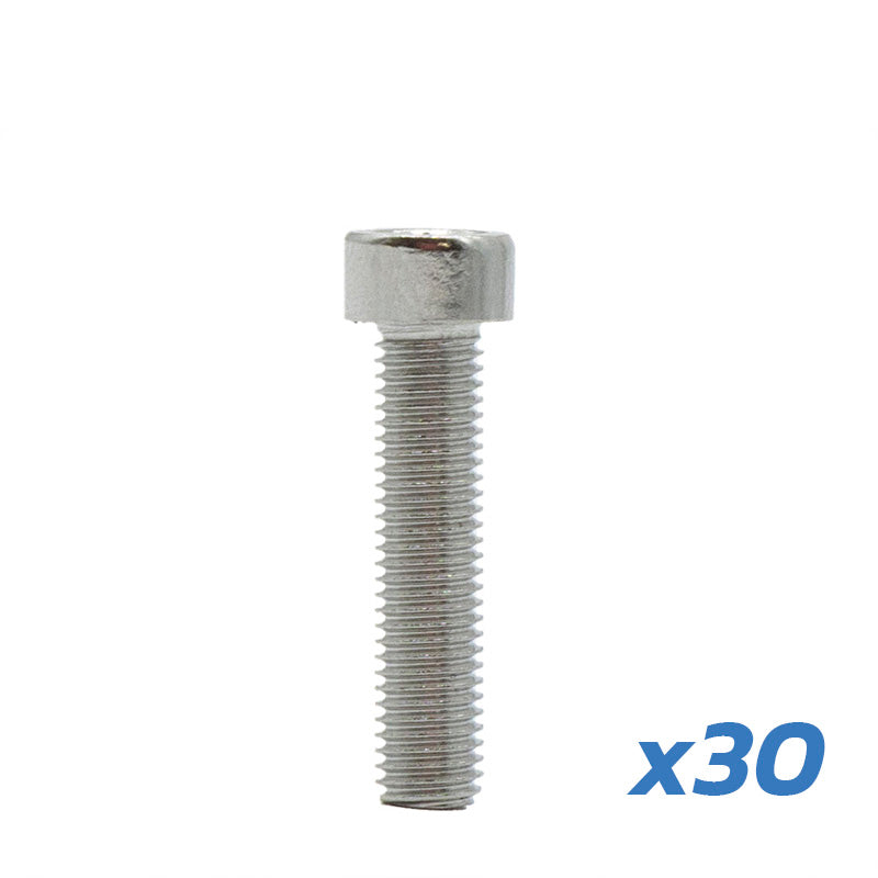 VIS DE ROUE DUALTRON MINI 30 UNITS