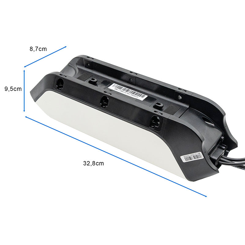 Batterie NIU K1 (DE)