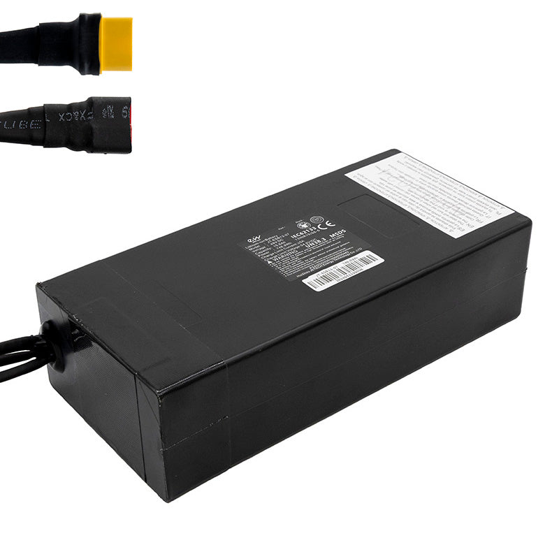Batterie 48V 19.2 A/h pour Smartgyro Speedway [Ewheel]