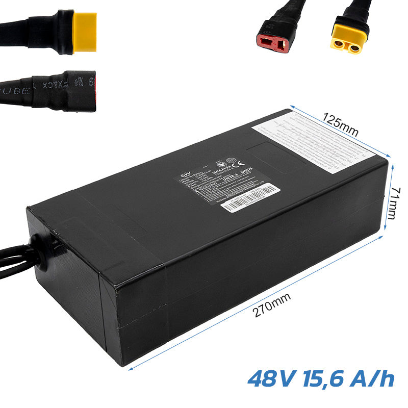 Batterie 48V 19.2 A/h pour Smartgyro Speedway [Ewheel]
