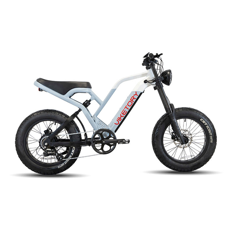 Ebike FATBIKE Bleu marine/Blanc