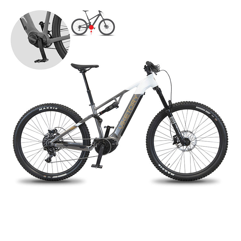 TERRAM vélo électrique VTT Gris/Blanc