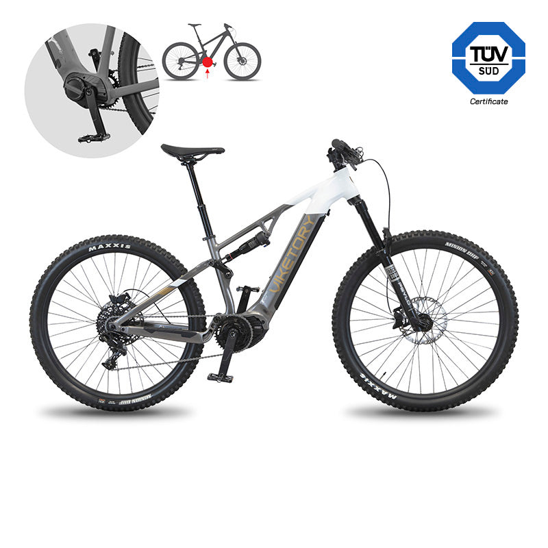 TERRAM vélo électrique VTT Gris/Blanc