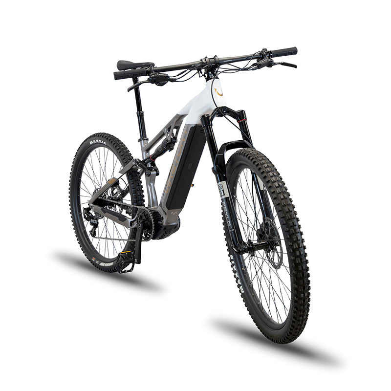 TERRAM vélo électrique VTT Gris/Blanc