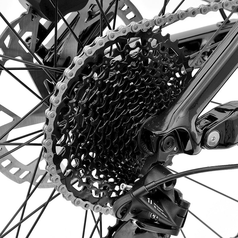 TERRAM vélo électrique VTT Gris/Blanc