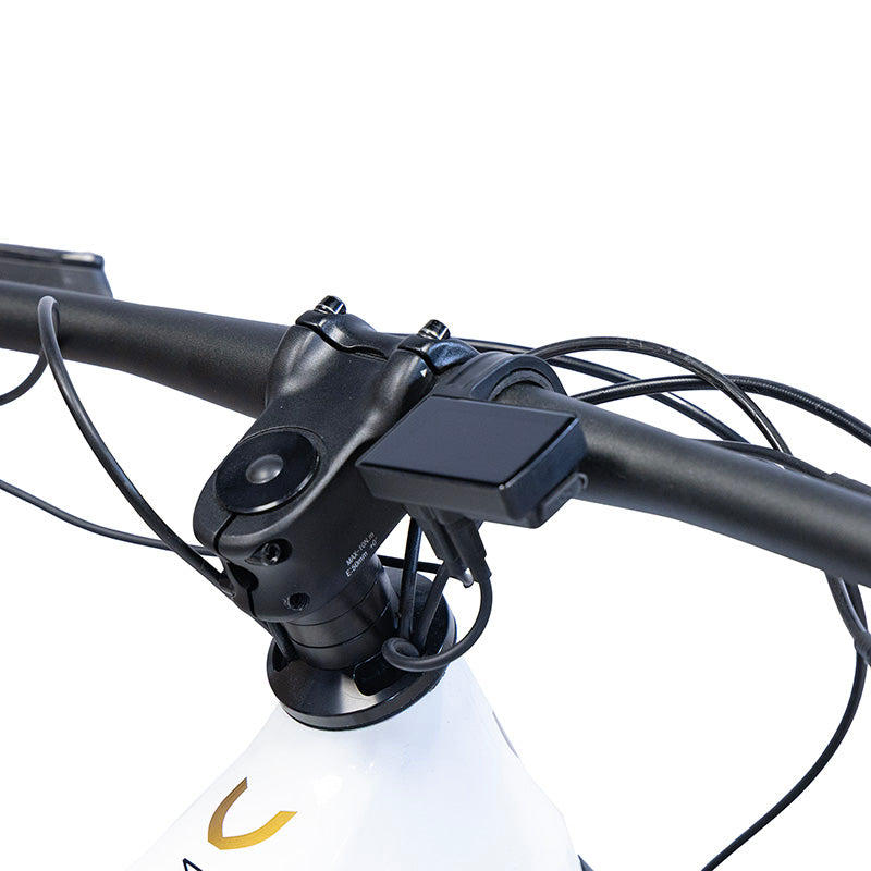 TERRAM vélo électrique VTT Gris/Blanc